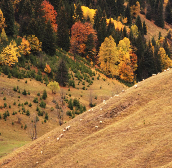 Boge Landschaft