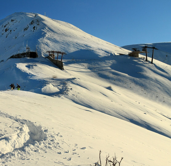 Brezovica