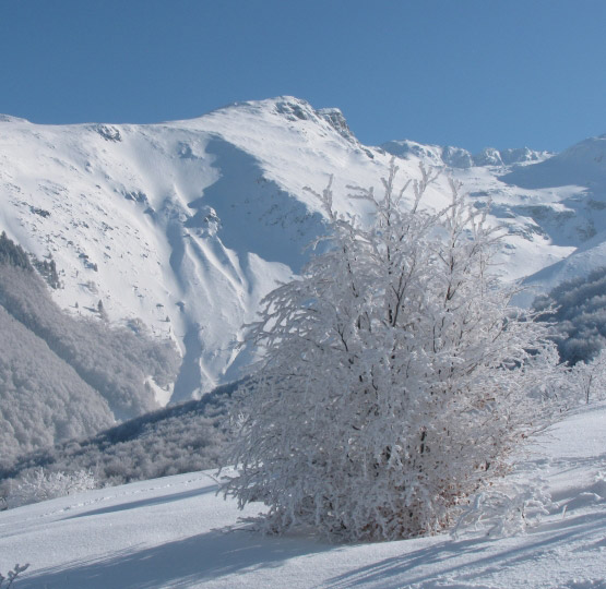 Prevalla Nationalpark Winter